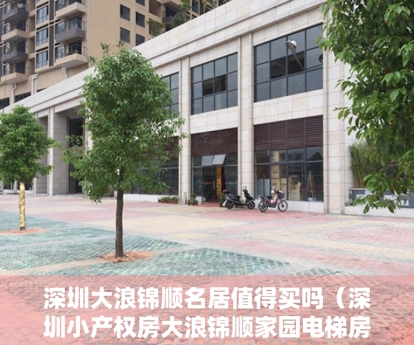 深圳大浪锦顺名居值得买吗（深圳小产权房大浪锦顺家园电梯房精装修）