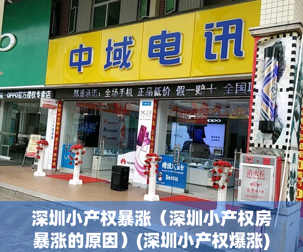 深圳小产权暴涨（深圳小产权房暴涨的原因）(深圳小产权爆涨)