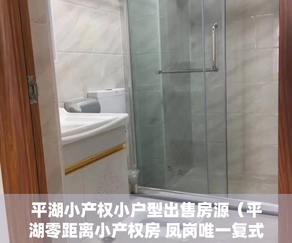 平湖小产权小户型出售房源（平湖零距离小产权房 凤岗唯一复式楼 两房398万一套）