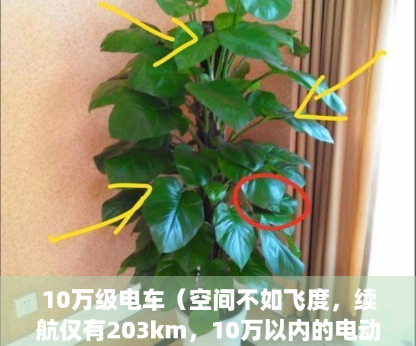 10万级电车（空间不如飞度，续航仅有203km，10万以内的电动车能买吗？）(预算10万电动车)