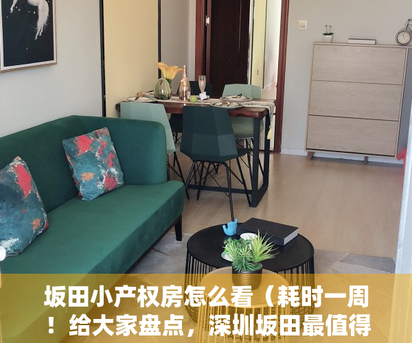 坂田小产权房怎么看（耗时一周！给大家盘点，深圳坂田最值得关注的小产权楼盘）