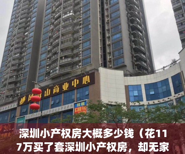 深圳小产权房大概多少钱（花117万买了套深圳小产权房，却无家可归！）(深圳小产权多少钱一套)