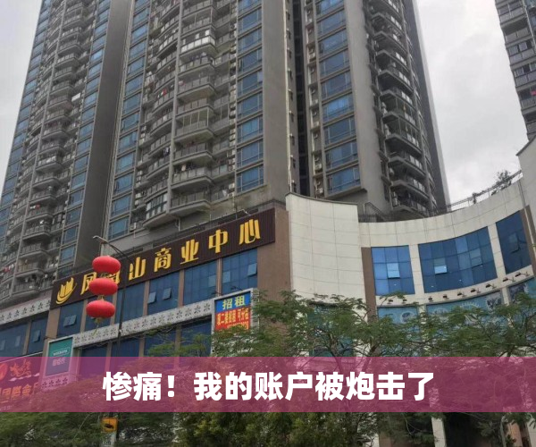 惨痛！我的账户被炮击了