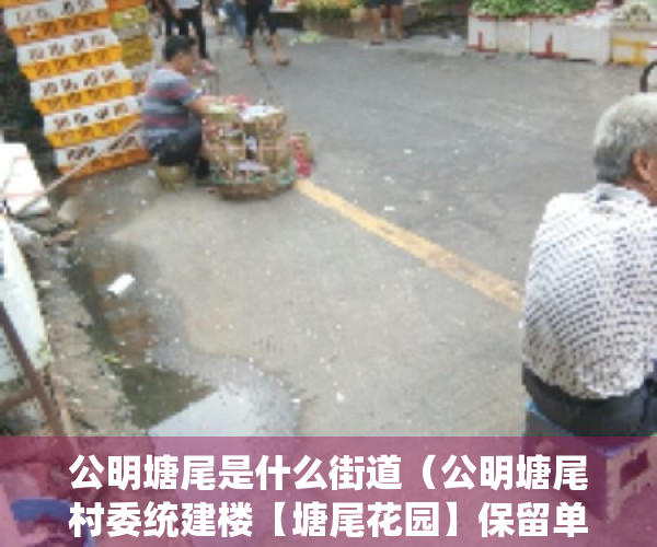 公明塘尾是什么街道（公明塘尾村委统建楼【塘尾花园】保留单位～精装修）