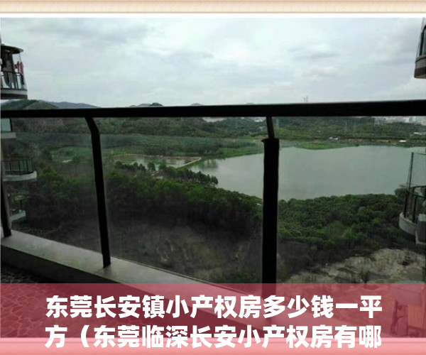 东莞长安镇小产权房多少钱一平方（东莞临深长安小产权房有哪些楼盘）
