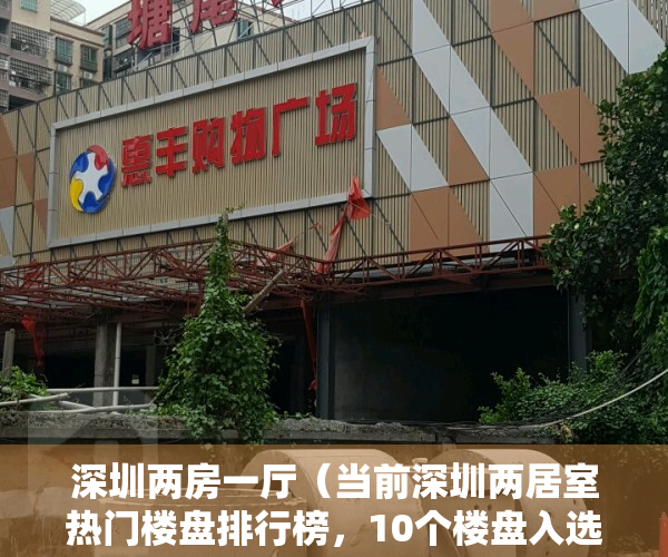 深圳两房一厅（当前深圳两居室热门楼盘排行榜，10个楼盘入选，京基水贝城市广场排第一）