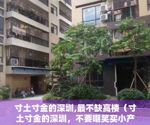 寸土寸金的深圳,最不缺高楼（寸土寸金的深圳，不要嘲笑买小产权房的人，人家过得挺好的）