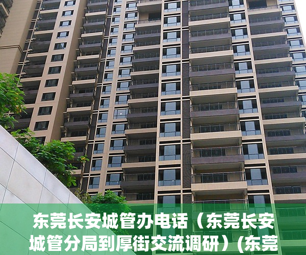 东莞长安城管办电话（东莞长安城管分局到厚街交流调研）(东莞长安镇城管投诉电话)