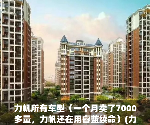 力帆所有车型（一个月卖了7000多量，力帆还在用睿蓝续命）(力帆的车真的不咋样吗)