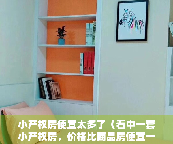 小产权房便宜太多了（看中一套小产权房，价格比商品房便宜一倍，值得买吗？）