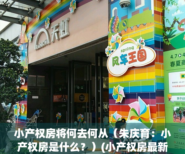 小产权房将何去何从（朱庆育：小产权房是什么？）(小产权房最新进展)