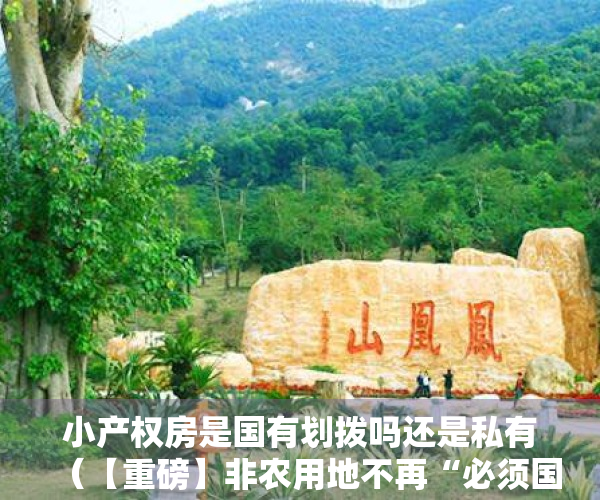 小产权房是国有划拨吗还是私有（【重磅】非农用地不再“必须国有”！那么，小产权房能转正吗？能下乡买宅基地吗？）