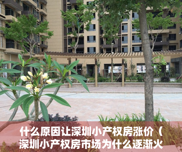 什么原因让深圳小产权房涨价（深圳小产权房市场为什么逐渐火爆，背后的真实原因·）
