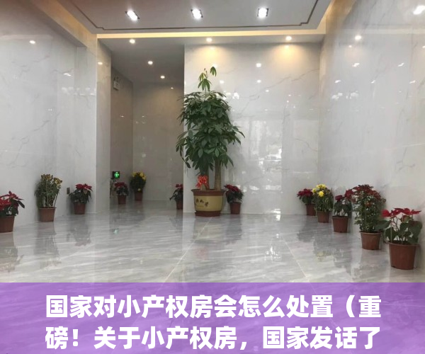 国家对小产权房会怎么处置（重磅！关于小产权房，国家发话了！）(国家对小产权房的政策是什么?)