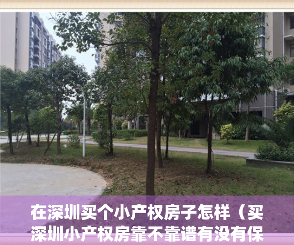 在深圳买个小产权房子怎样（买深圳小产权房靠不靠谱有没有保障）(在深圳买小产权房有哪些风险)
