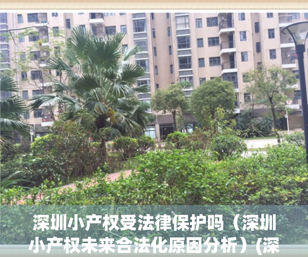 深圳小产权受法律保护吗（深圳小产权未来合法化原因分析）(深圳最严厉小产权政策)