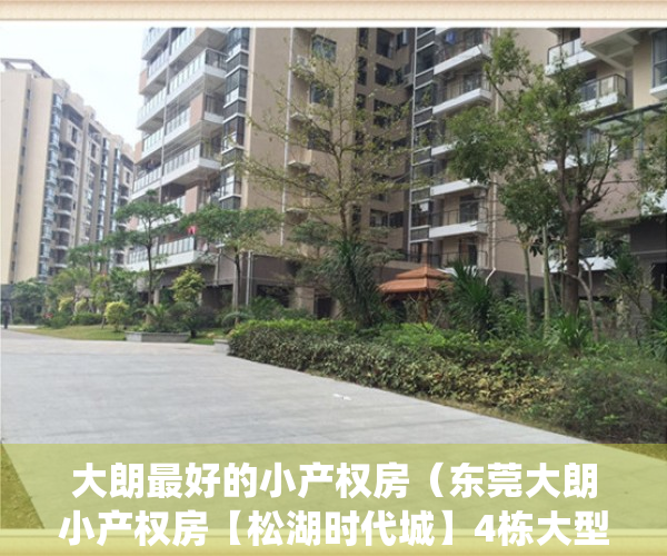 大朗最好的小产权房（东莞大朗小产权房【松湖时代城】4栋大型统建楼，均价4280元）