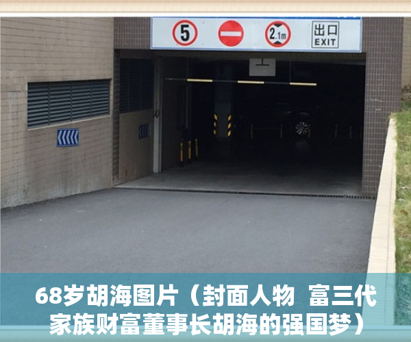 68岁胡海图片（封面人物  富三代家族财富董事长胡海的强国梦）
