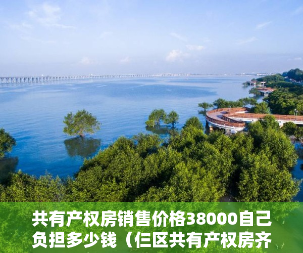 共有产权房销售价格38000自己负担多少钱（仨区共有产权房齐网申！长安街边887套共有产权房申购）