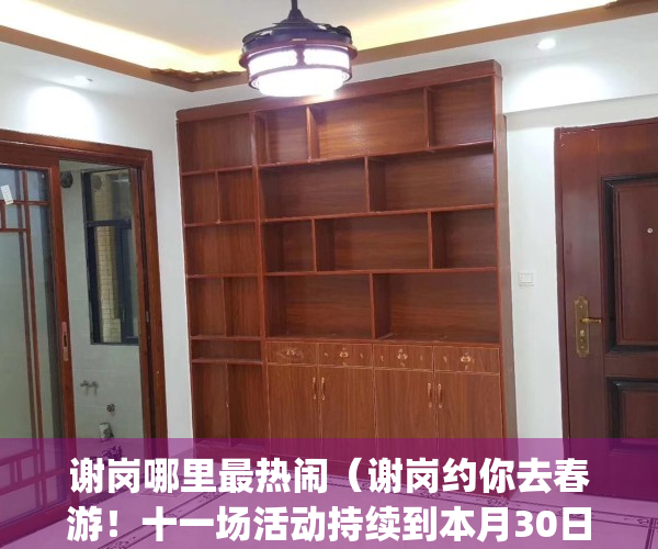 谢岗哪里最热闹（谢岗约你去春游！十一场活动持续到本月30日）(谢岗游玩)