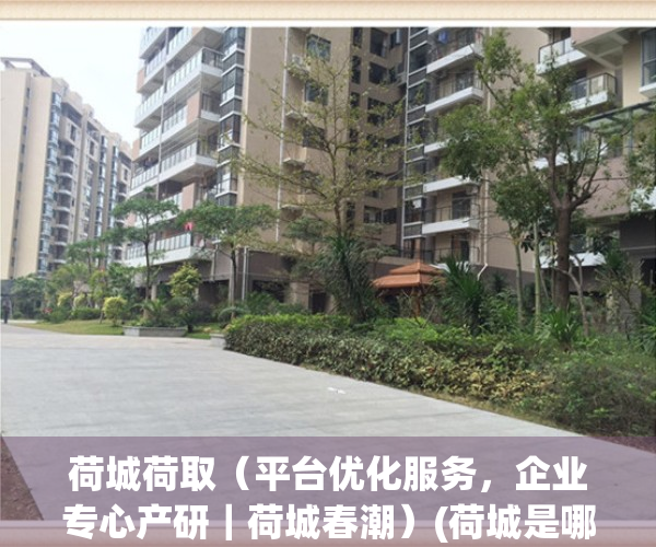 荷城荷取（平台优化服务，企业专心产研｜荷城春潮）(荷城是哪个城市的别称)