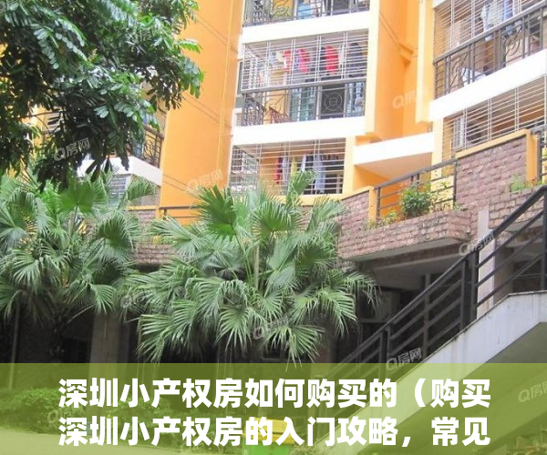 深圳小产权房如何购买的（购买深圳小产权房的入门攻略，常见问题解答）