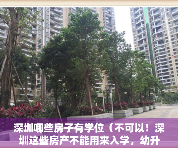 深圳哪些房子有学位（不可以！深圳这些房产不能用来入学，幼升小雷区务必重视）
