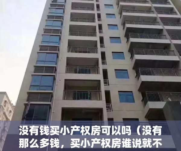 没有钱买小产权房可以吗（没有那么多钱，买小产权房谁说就不好了，无数人的居家希望！）