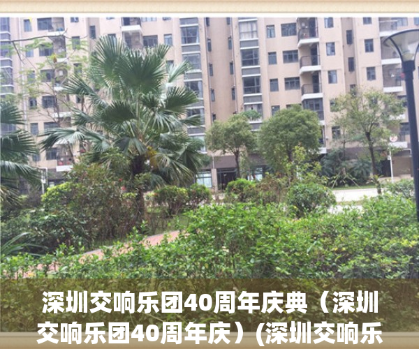 深圳交响乐团40周年庆典（深圳交响乐团40周年庆）(深圳交响乐团2021)