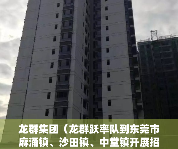 龙群集团（龙群跃率队到东莞市麻涌镇、沙田镇、中堂镇开展招商考察）(龙群科技(云南)有限公司)