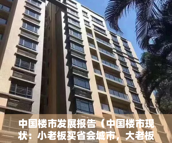 中国楼市发展报告（中国楼市现状：小老板买省会城市，大老板买遍全国）