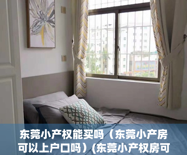 东莞小产权能买吗（东莞小产房可以上户口吗）(东莞小产权房可以买吗?产权房)