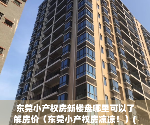 东莞小产权房新楼盘哪里可以了解房价（东莞小产权房凉凉！）(东莞小产权房哪里有卖)