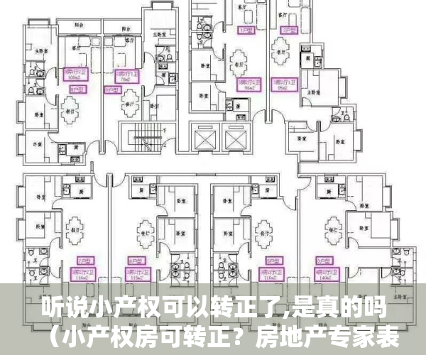 听说小产权可以转正了,是真的吗（小产权房可转正？房地产专家表示：“深圳只有历史违建”）