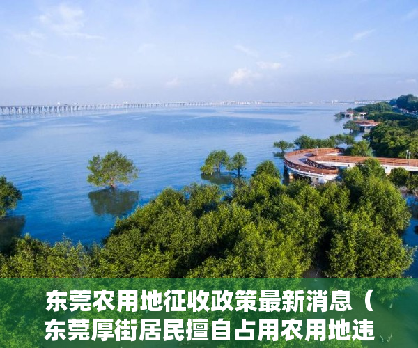 东莞农用地征收政策最新消息（东莞厚街居民擅自占用农用地违法建设，最终被强制拆除！）