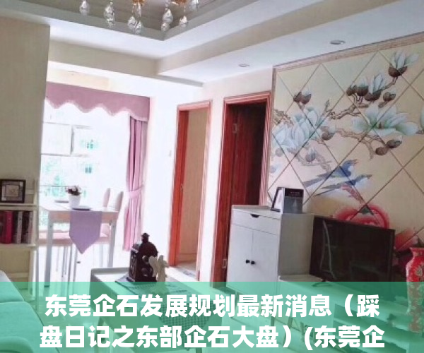 东莞企石发展规划最新消息（踩盘日记之东部企石大盘）(东莞企石发展怎么样)