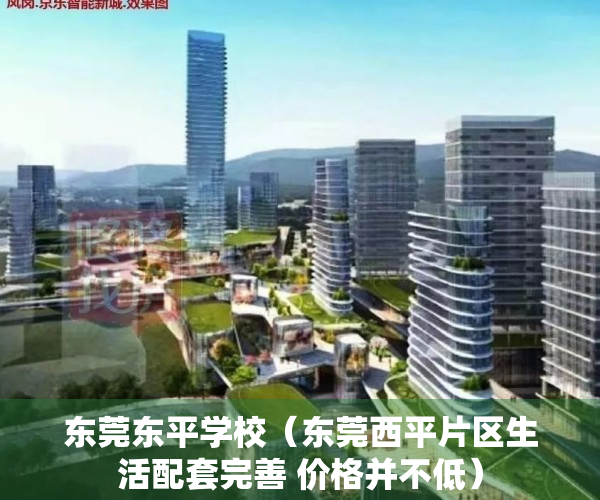 东莞东平学校（东莞西平片区生活配套完善 价格并不低）
