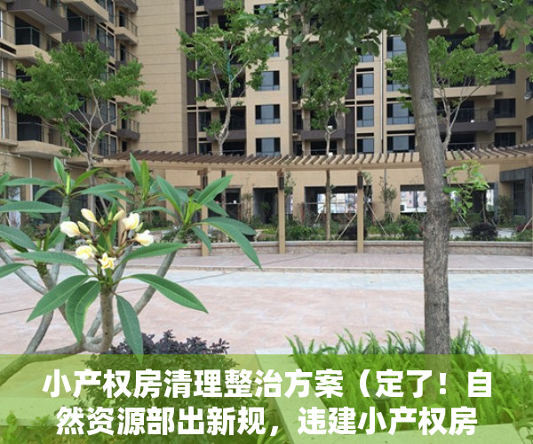 小产权房清理整治方案（定了！自然资源部出新规，违建小产权房难转正）