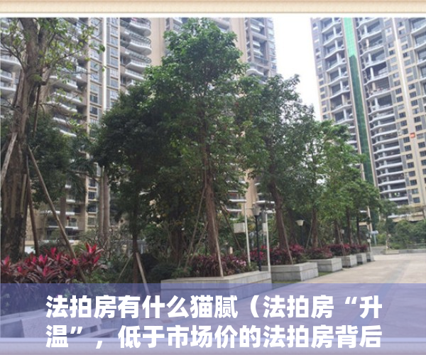 法拍房有什么猫腻（法拍房“升温”，低于市场价的法拍房背后水有多深？）