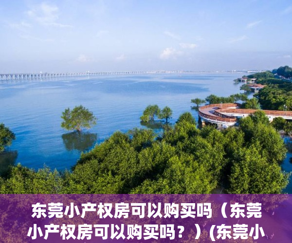 东莞小产权房可以购买吗（东莞小产权房可以购买吗？）(东莞小产权房可以交易吗)