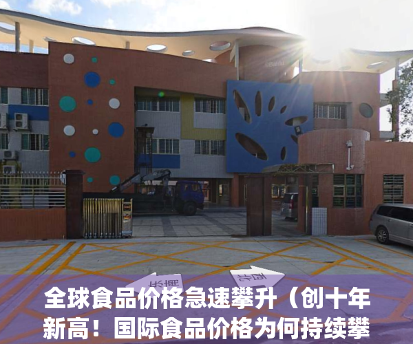 全球食品价格急速攀升（创十年新高！国际食品价格为何持续攀升？）(全球食品价格连续第3个月上涨yf!)