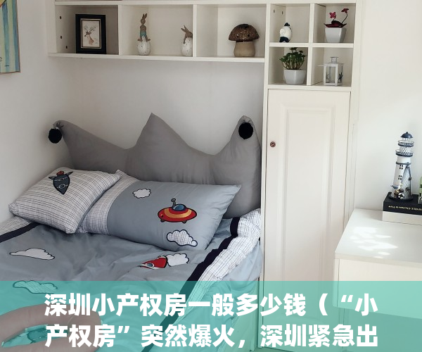 深圳小产权房一般多少钱（“小产权房”突然爆火，深圳紧急出手了）(深圳小产权房大全)