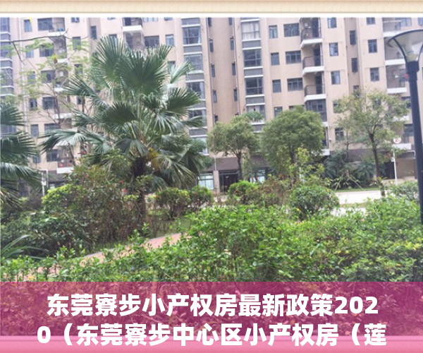 东莞寮步小产权房最新政策2020（东莞寮步中心区小产权房（莲城首府）两栋现房 永久产权 两房238万 三房338万套）