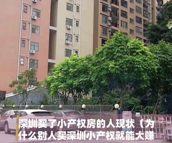 深圳买了小产权房的人现状（为什么别人买深圳小产权就能大赚，而你却不行呢？原因就在这三点）