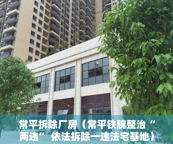 常平拆除厂房（常平铁腕整治“两违” 依法拆除一违法宅基地）
