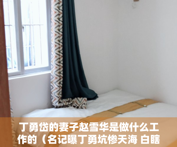 丁勇岱的妻子赵雪华是做什么工作的（名记曝丁勇坑惨天海 白瞎数千万还能深圳履新 这就是包容之城？）