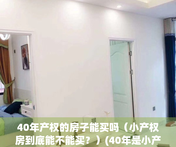 40年产权的房子能买吗（小产权房到底能不能买？）(40年是小产权还是大产权)