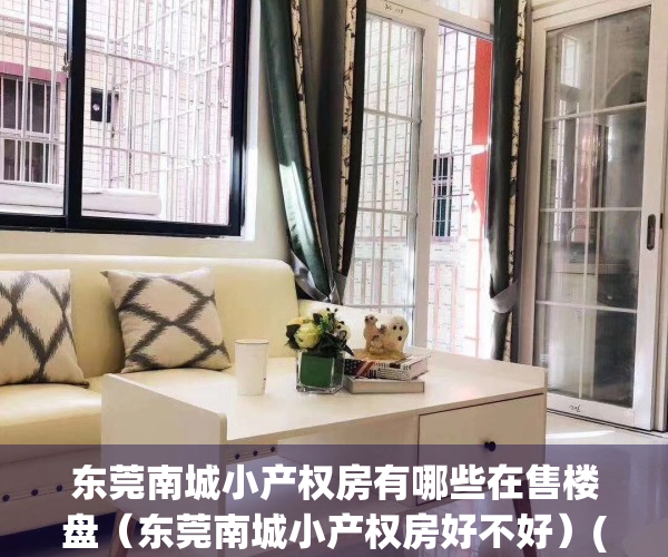 东莞南城小产权房有哪些在售楼盘（东莞南城小产权房好不好）(东莞南城小户型)