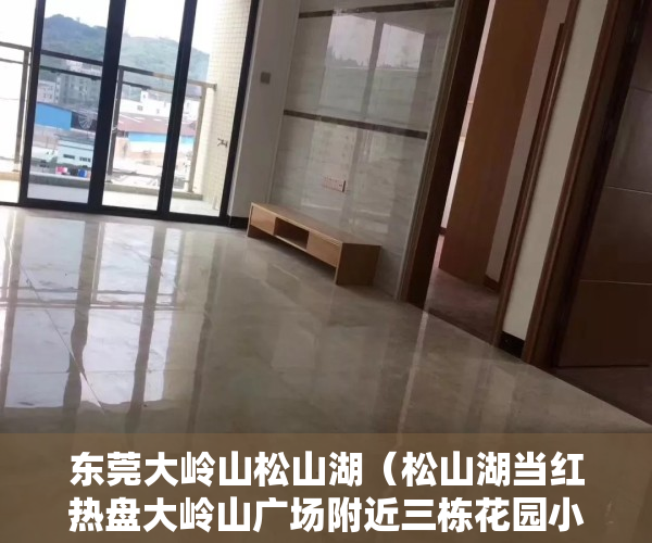 东莞大岭山松山湖（松山湖当红热盘大岭山广场附近三栋花园小产权房特价4800元，）
