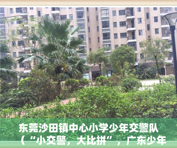 东莞沙田镇中心小学少年交警队（“小交警，大比拼”，广东少年交警队（东莞东城）选拔赛圆满落幕）